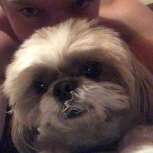 Meet your Posher, Jarret